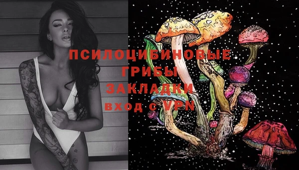 apvp Вязники