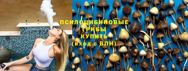 мяу мяу мука Вяземский