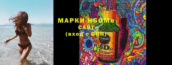 гашик Горняк