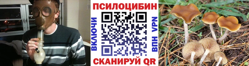 дарнет шоп  Заполярный  Псилоцибиновые грибы мицелий 